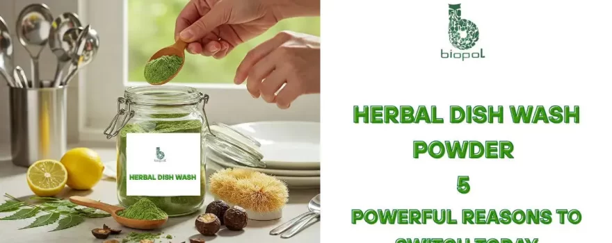 Eco-friendly dishwashing scene: herbal powder, utensils, and natural ingredients. - Herbal Dish Wash Powder 1