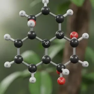 Detailed molecular structure of a natural flavonoid compound showing hydroxyl groups and aromatic rings. -Chemical Composition of Textile Dyes. -1