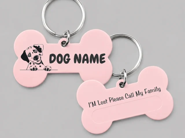 Silicone Dog Tag: 6 Essential Facts to Know Before You Buy