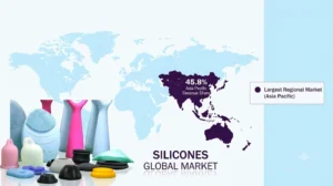 overview of the silicones global market.